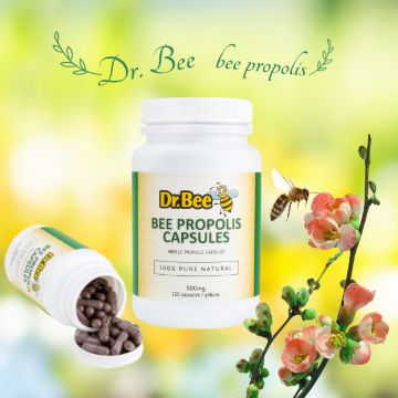 Picture of Dr. Bee Propolis Capsules 500mg