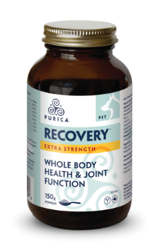 Picture of Purica Pet Recovery Extra Strength - 150g powder