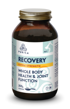 Picture of Purica Pet Recovery Extra Strength - 350g powder