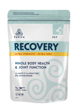 Picture of Purica Pet Recovery Extra Strength - 1kg powder