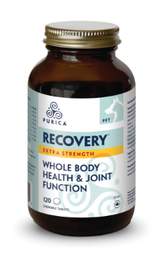 Picture of Purica Pet Recovery Extra Strength - 120  Chewable Tablets