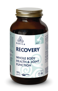 Picture of Purica Pet Recovery Regular Strength - 150g powder
