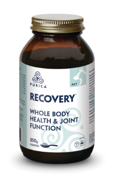Picture of Purica Pet Recovery Regular Strength - 350g powder