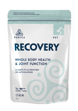 Picture of Purica Pet Recovery Regular Strength - 1kg powder