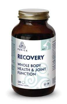 Picture of Purica Pet Recovery Regular Strength - 120 Chewable Tablets